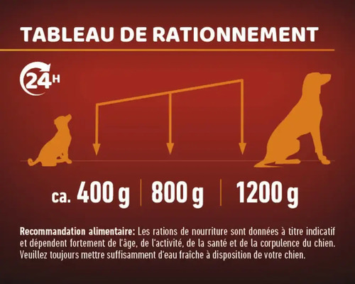 Tableau des rations alimentaires pour chiens en fonction du poids