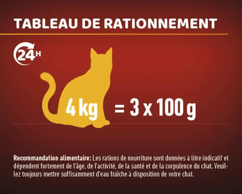 Tableau d''alimentation pour chat : Recommandation d''alimentation pour un chat de 4 kg : trois fois 100 grammes par jour.