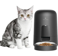 Katze neben Futterautomat
