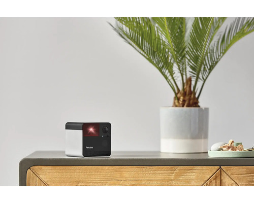 Caméra pour animaux de compagnie Petcube sur une armoire avec une plante d''intérieur