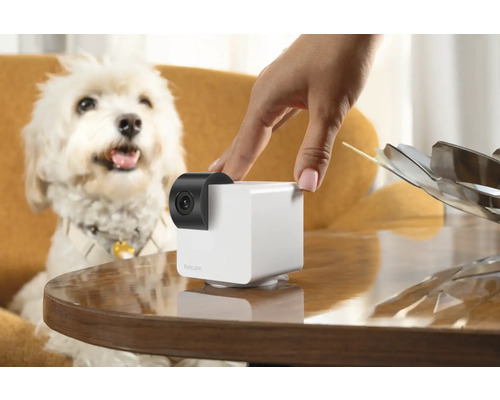 Caméra pour animaux de compagnie sur une table avec un chien en arrière-plan