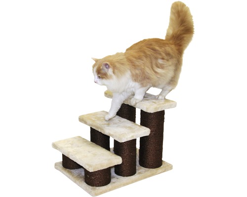 Chat grimpant sur un escalier à griffer