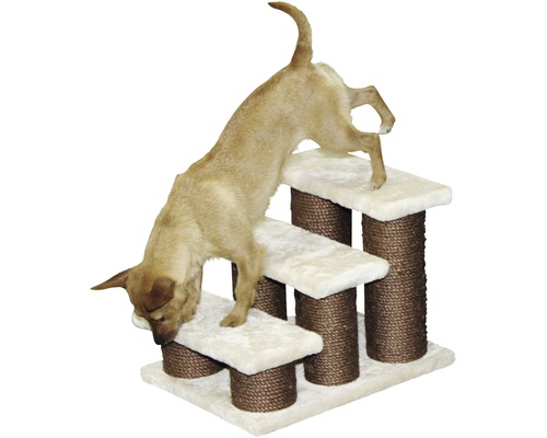 Chien sur un escalier pour animaux de compagnie enveloppé de sisal