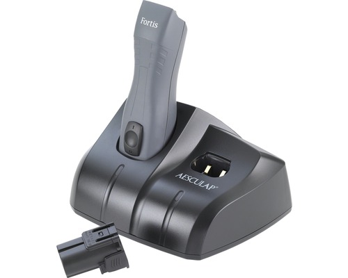 Fortis Ladestation mit Batterie