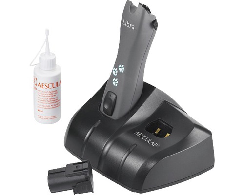 Akkuschermaschine mit Ladestation, Akku und Ölflasche