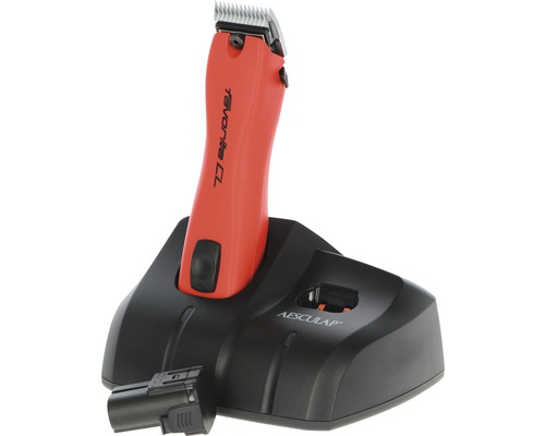 Akkuschermaschine mit Ladestation