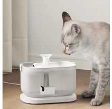 Katze trinkt aus einem Trinkbrunnen