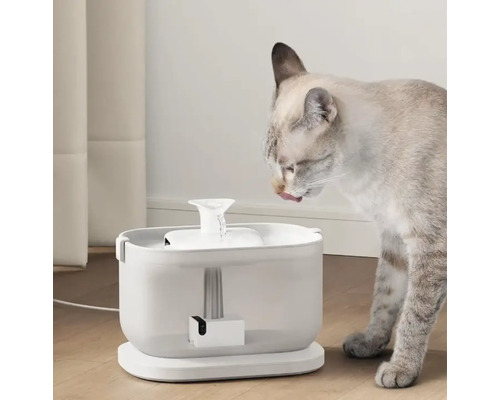 Chat buvant dans une fontaine à eau