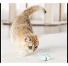 Katze spielt mit Laserpointer-Spielzeug