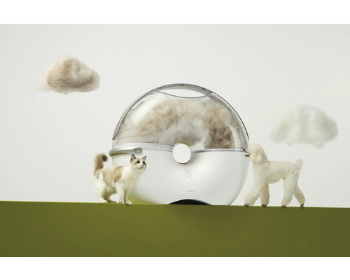 Dispositif anti-poils d''animaux avec chat, caniche et boules de poils