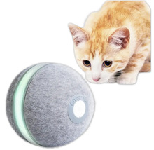 Katze betrachtet Spielzeugball für Katzen