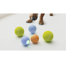 Hundespielzeug: Zwei Tennisbälle, zwei interaktive Bälle und ein Hund