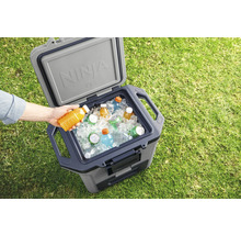 Offene Kühlbox mit Getränken und Eis auf einer Wiese