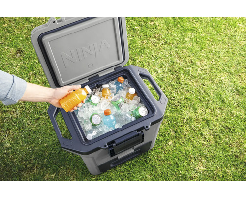 Offene Kühlbox mit Getränken und Eis auf einer Wiese