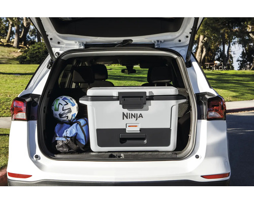 Kühlbox im Kofferraum eines Autos mit Fußball und Sporttasche