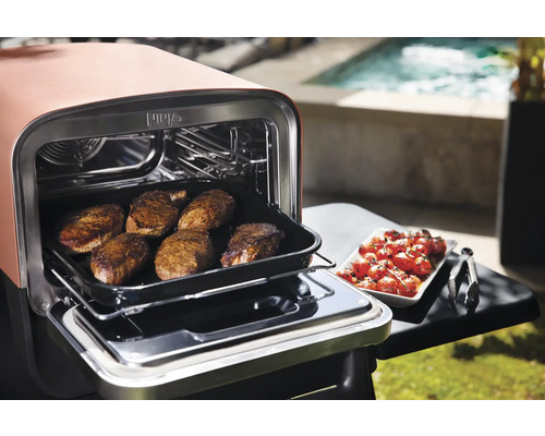 Grill Ninja avec steaks et tomates à l''extérieur.