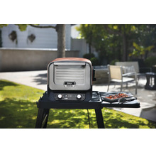 Gril électrique d''extérieur Ninja Woodfire