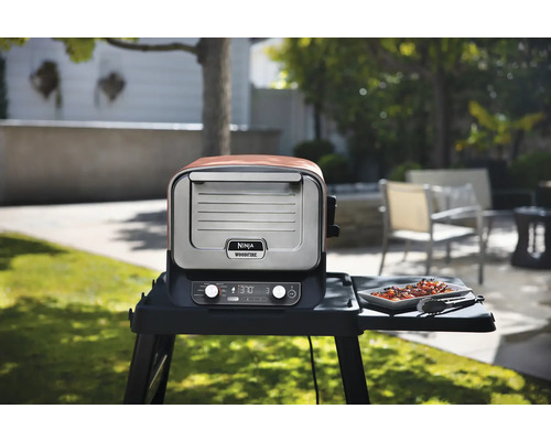 Gril électrique d''extérieur Ninja Woodfire