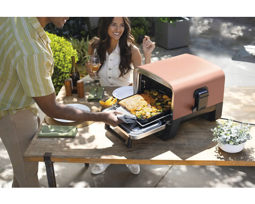 Scène d''extérieur avec un petit four dans lequel on prépare du poisson et des légumes, tandis qu''une femme est assise à une table.