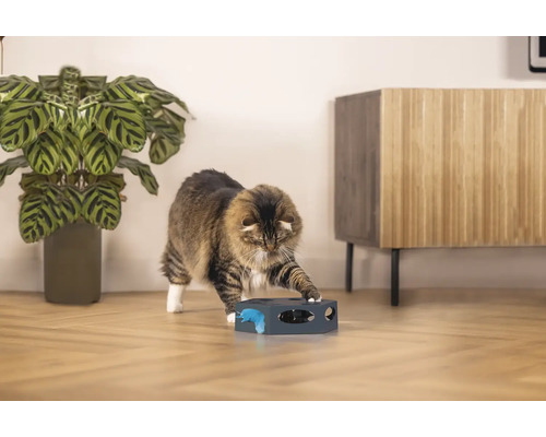 Chat jouant avec un jouet interactif pour chat dans un environnement de salon