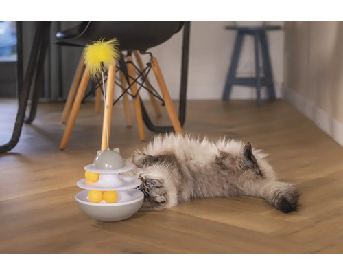 Eine Katze liegt neben einem Katzenspielzeug mit Bällen und einer Federangel