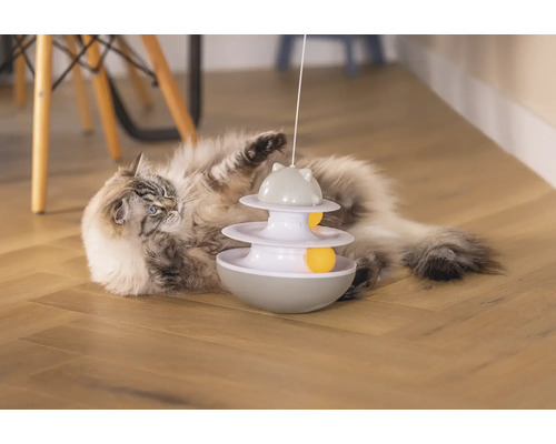 Katze spielt mit interaktivem Katzenspielzeug auf einem Holzboden
