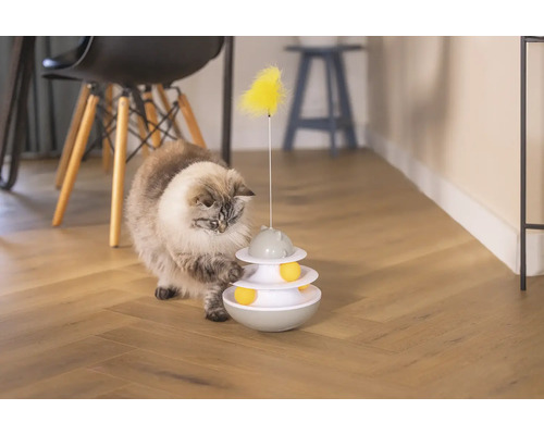 Katze spielt mit interaktivem Katzenspielzeug im Innenbereich