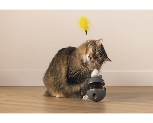Katze spielt mit interaktivem Katzenspielzeug mit Feder