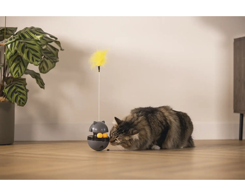Katze spielt mit interaktivem Katzenspielzeug mit Federangel