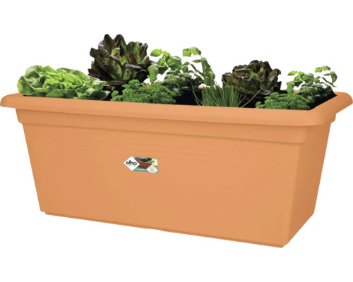 Rechteckiger Pflanzkasten mit Bepflanzung