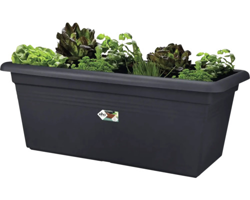 Rechteckiger Pflanzkasten mit Salat und Kräutern