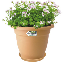 Soucoupe Elho Green Basics® Ø 34 cm, terre cuite