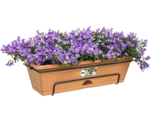 Jardinière avec campanules violettes et support