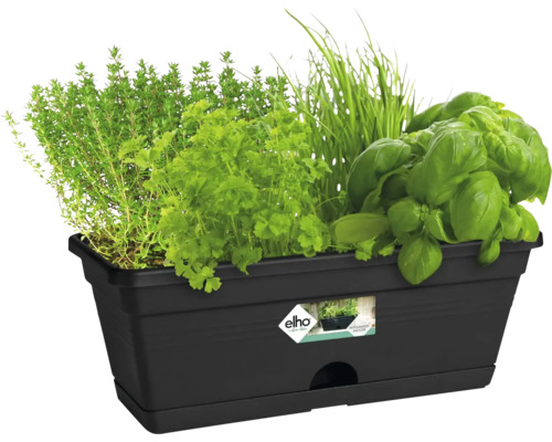 Schwarzer Pflanzkasten mit verschiedenen Kräutern wie Thymian, Petersilie, Schnittlauch und Basilikum.
