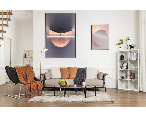 Salon avec canapé, fauteuil, table basse, bibliothèque et décoration