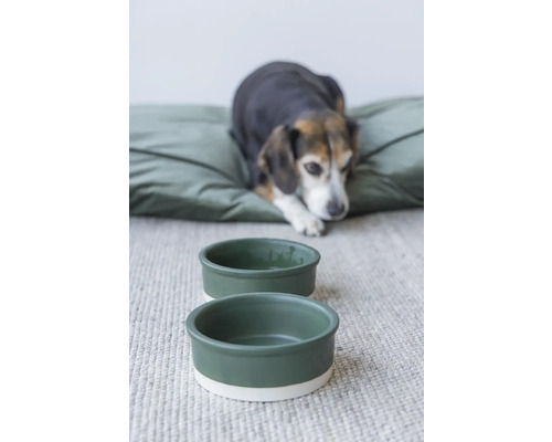 Deux gamelles pour chiens sont placées devant un coussin pour chiens.