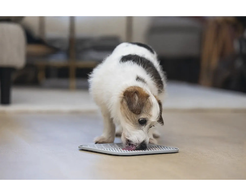 Hund trinkt Wasser von einem Napfuntersetzer.
