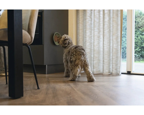 Ein Hund frisst aus einem an der Wand befestigten Futternapf in einer Küche.