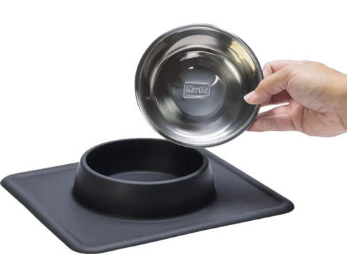 Gamelle en acier inoxydable avec support et main