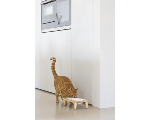 Katze frisst von einem erhöhten Futtertisch in einer Küche.