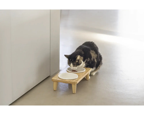 Katze frisst von erhöhtem Futterständer mit zwei Näpfen
