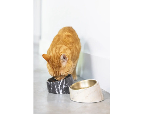 Eine Katze frisst aus einem erhöhtem Futternapf mit Marmormuster, ein weiterer Napf steht daneben.