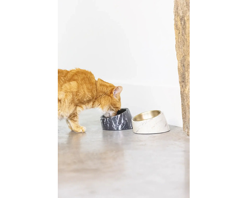 "Katze frisst aus einem grauen Futternapf mit Marmoroptik