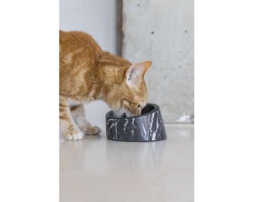 Eine Katze frisst aus einem Futternapf mit Marmormuster.