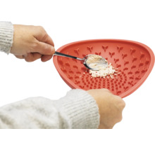 Reinigungsschale mit Make-up-Pinsel-Reiniger und Löffel zur Reinigung