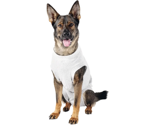 Un chien assis portant un vêtement pour chien.