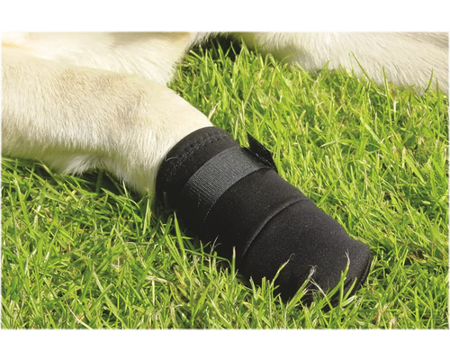 Patte de chien avec chaussure de protection noire dans l''herbe