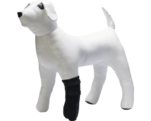 Modèle de chien avec attelle noire pour la jambe