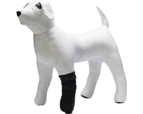 Mannequin de chien avec genouillère