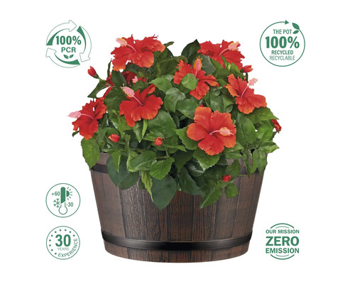 Hibiskus in einem Topf mit Holzoptik und den Hinweisen 100 Prozent PCR, Temperaturspanne von -30 bis +60 Grad, 30 Jahre Erfahrung, 100 Prozent recycelbar und Null-Emissions-Mission.